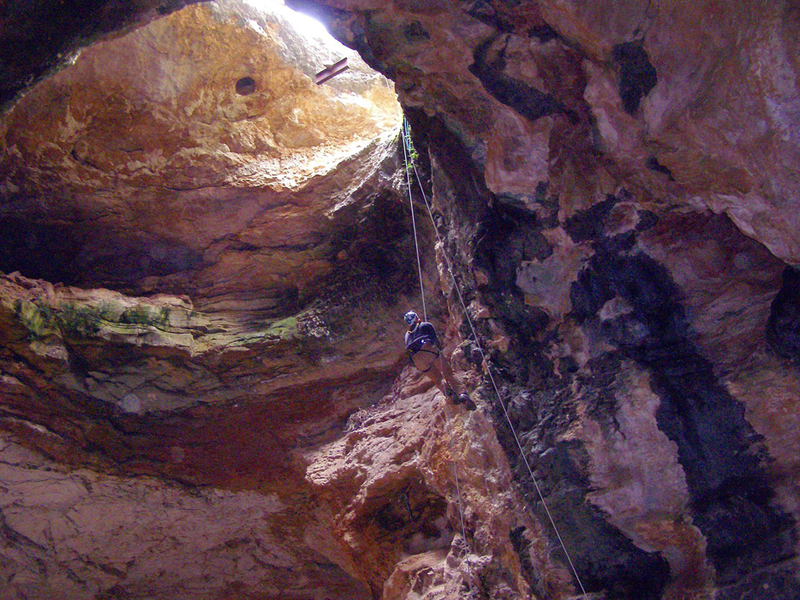 Illustration for article titled This is some Indiana Jones level paleontology right here.